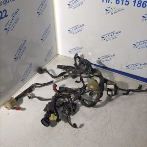 Cableado Honda CB 125 R 2022