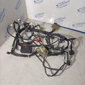 Cableado Honda PCX 125 2021-2024