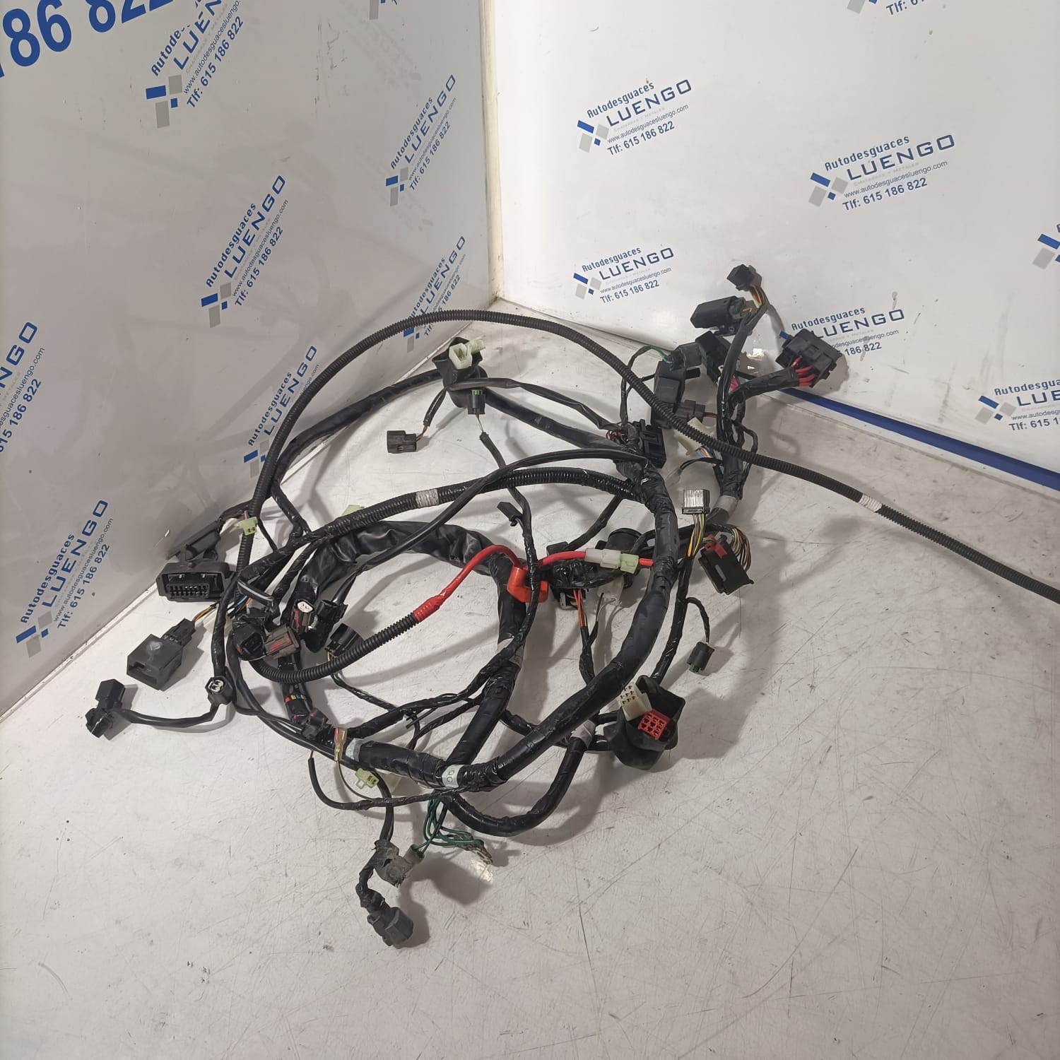 Cableado Sym Joymax Z 2021