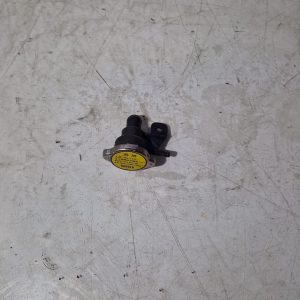 Tapón radiador Kawasaki J300 2019