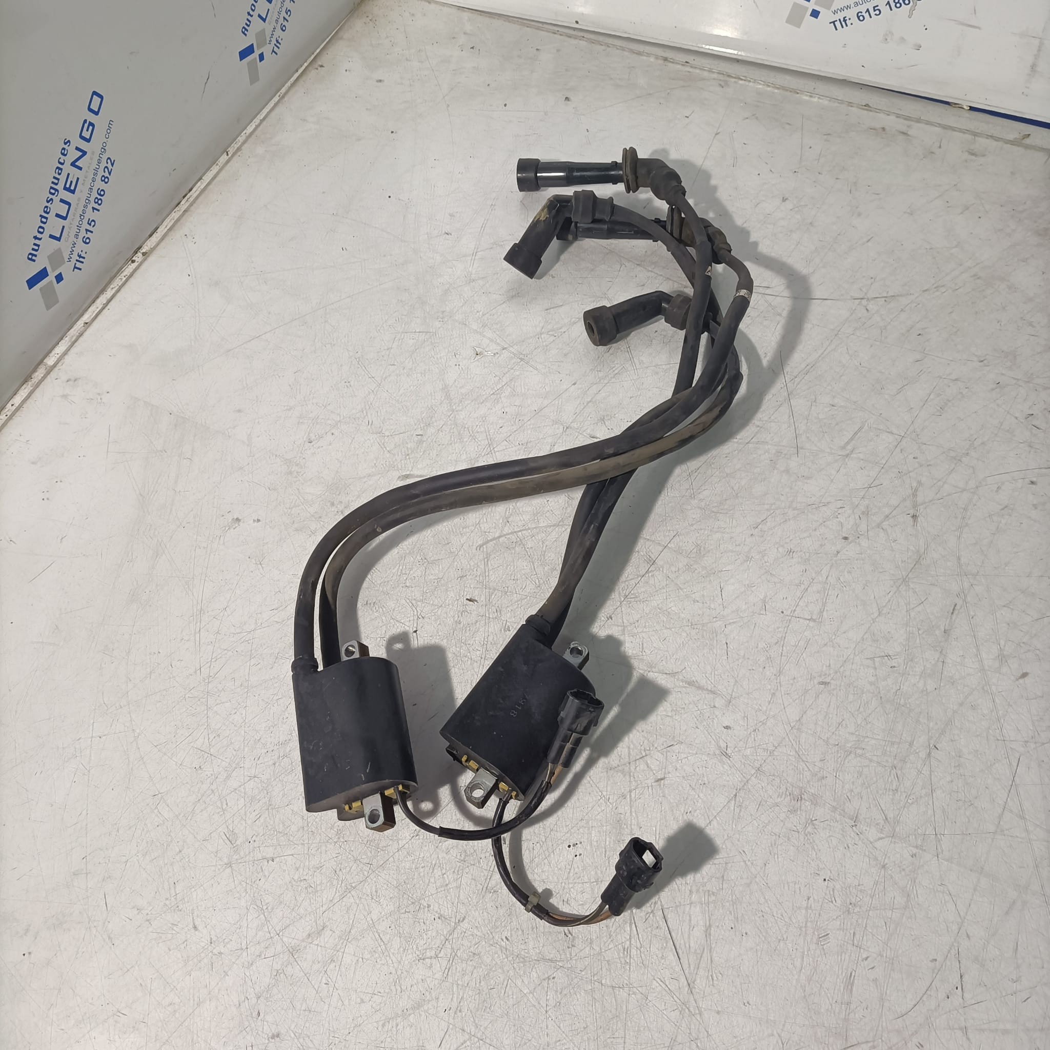 Bobinas encendido Suzuki DL 650 V-Strom 2008