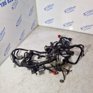 Cableado Kawasaki Ninja 650 2024