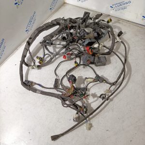 Cableado Aprilia RS 660 2024