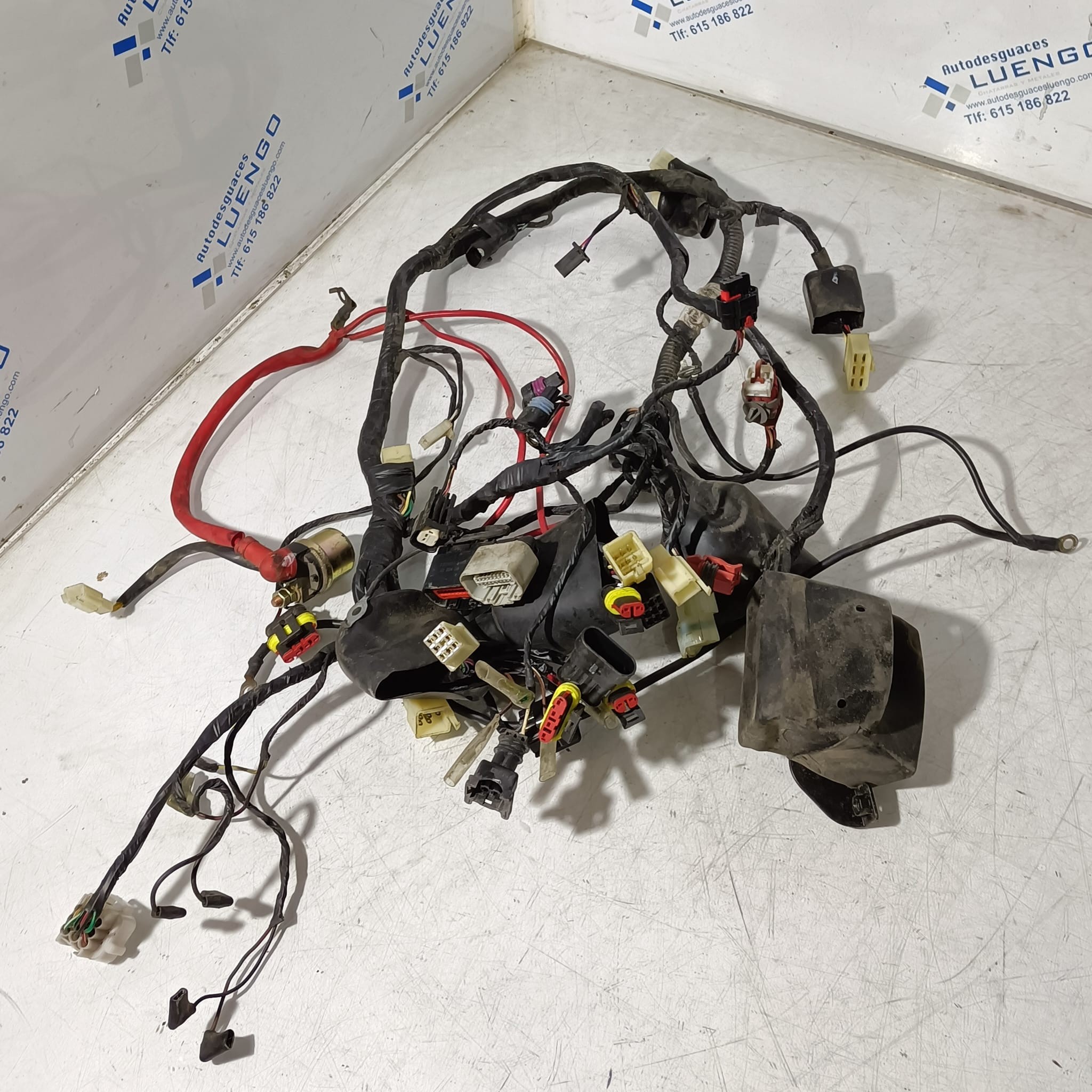 Cableado Keeway RKF 125 2020