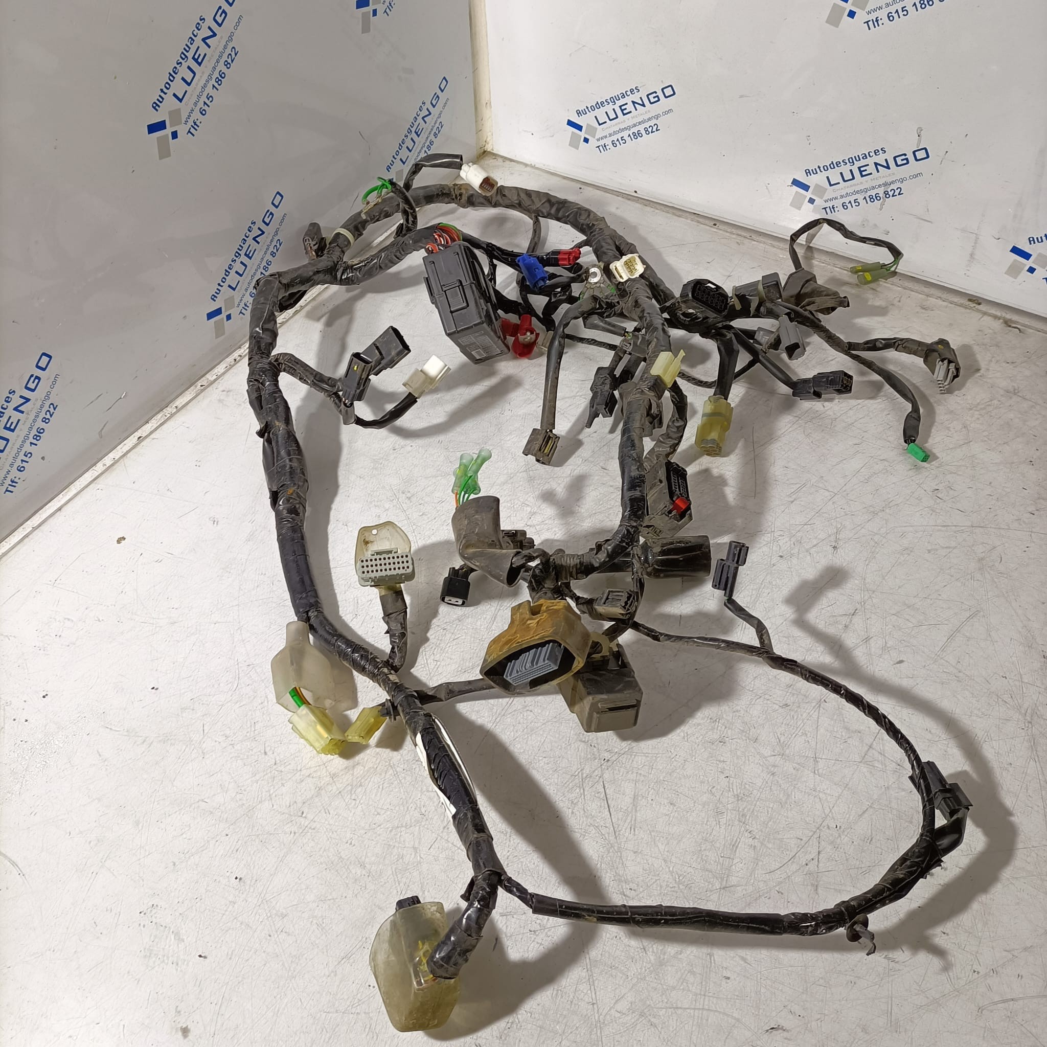 Cableado Honda Forza 125 2017-2019