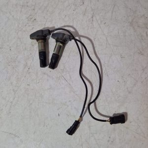 Bobinas encendido Aprilia Shiver 750 2009