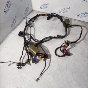 Cableado Honda CBF 600 2007