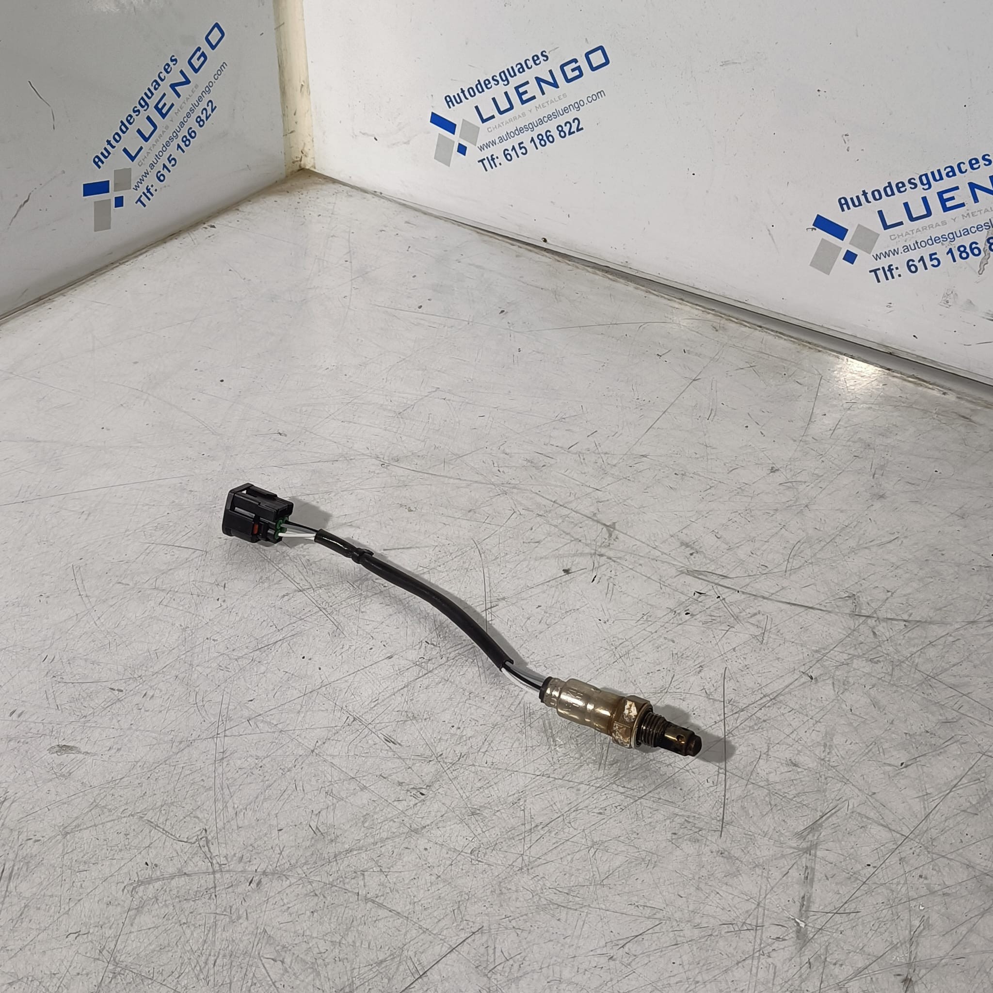 Sonda lambda trasera Honda PCX 125 2025-2026