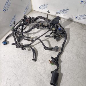 Cableado Kawasaki Ninja 500 2024