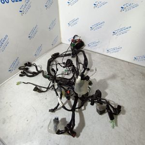 Cableado Honda Forza 125 2025