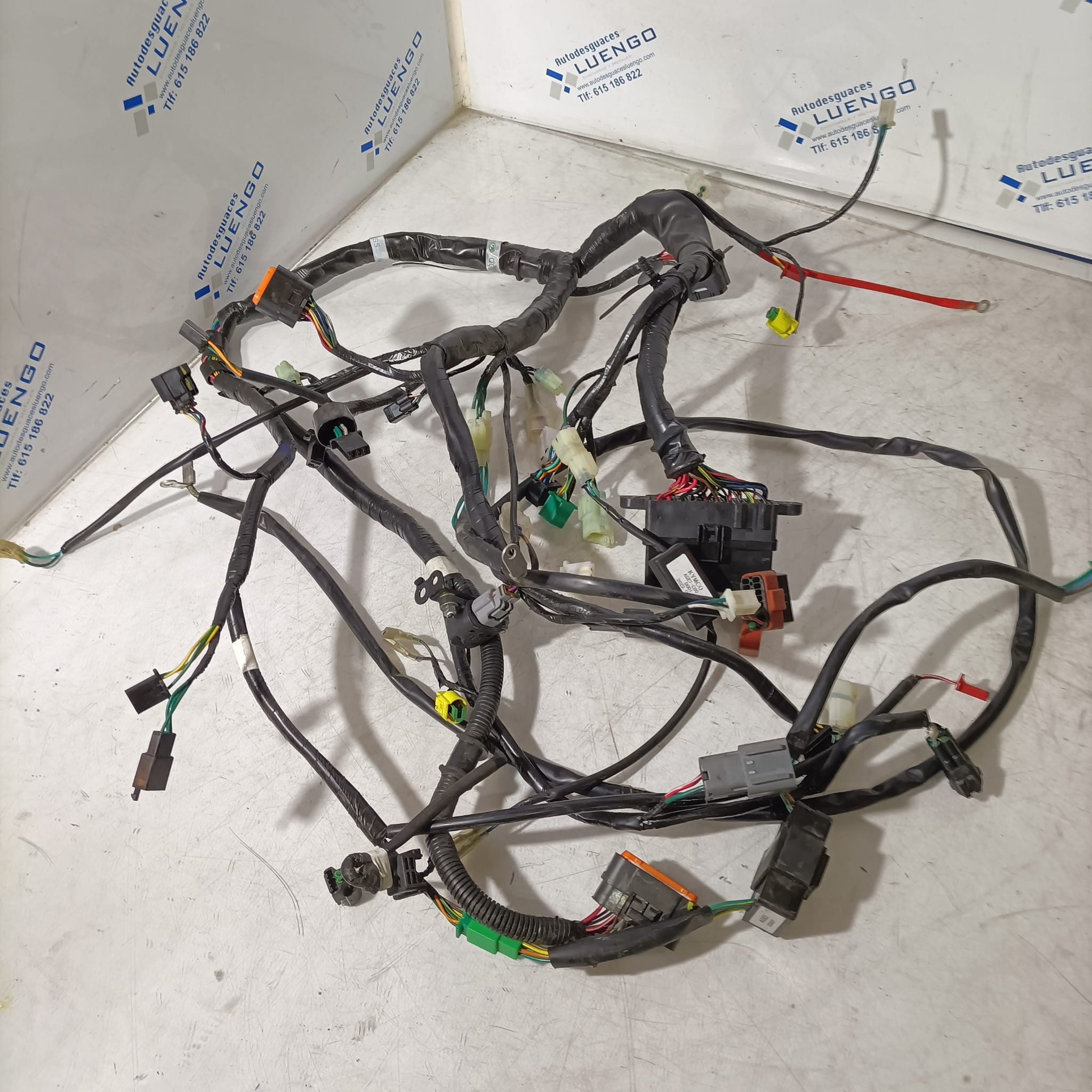 Cableado Kymco DTX 360 125 2022
