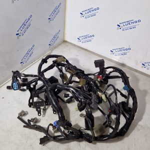 Cableado Kawasaki Z900 2020-2022