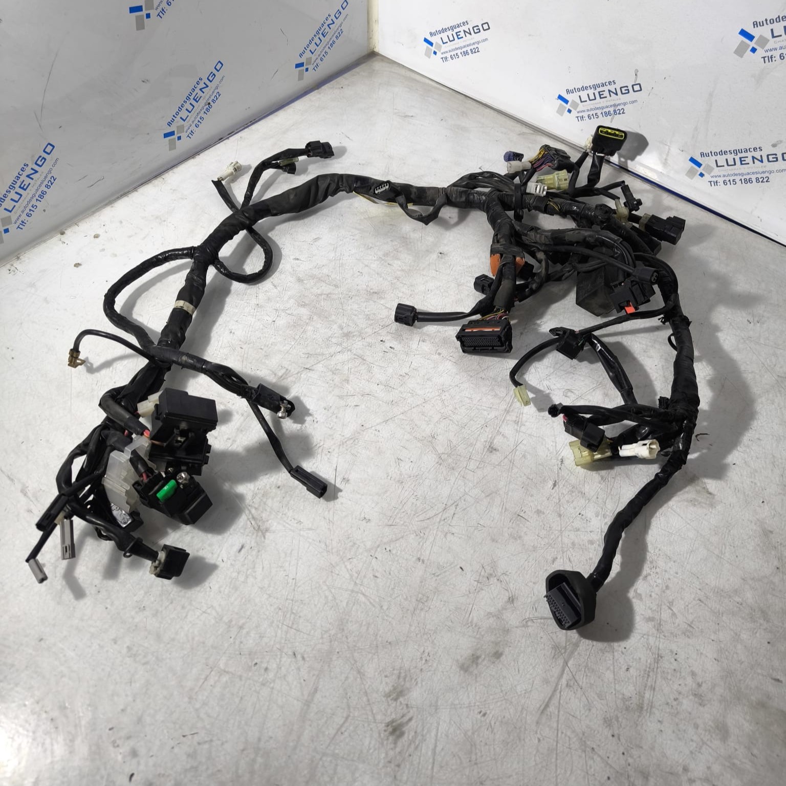 Cableado Yamaha MT 07 2018