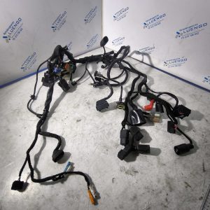 Cableado Honda Rebel 500 2025