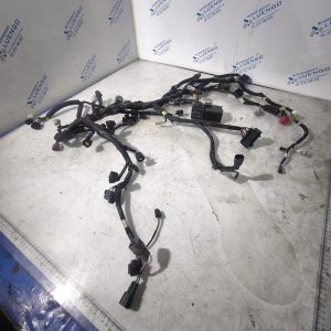 Cableado Suzuki DL 650 V-Strom 2023