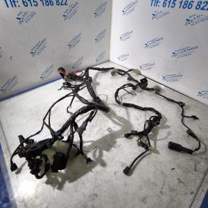 Cableado Honda Forza 125 2023