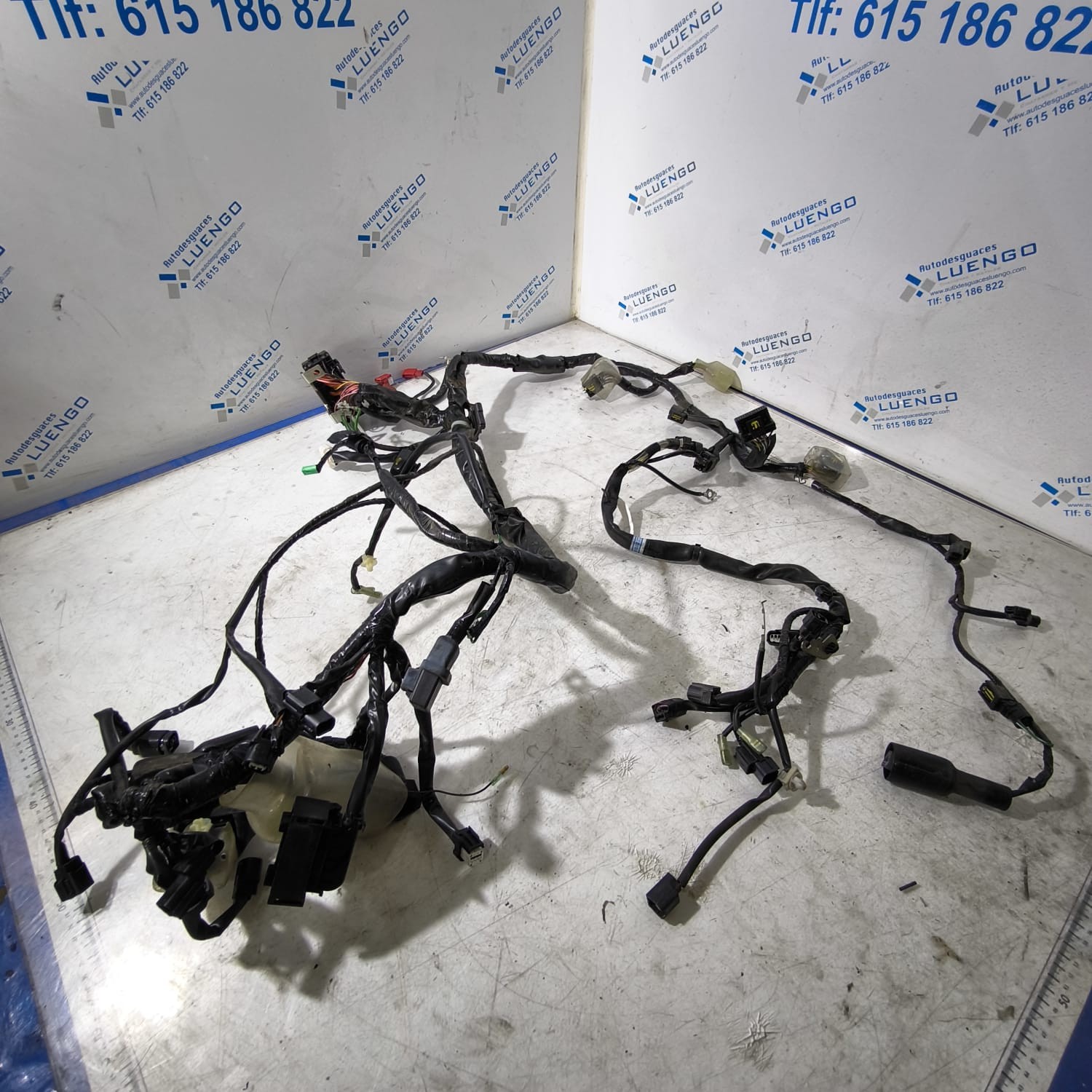 Cableado Honda Forza 125 2023
