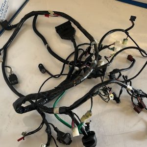 Cableado completo Sym Cruisym 300 2019
