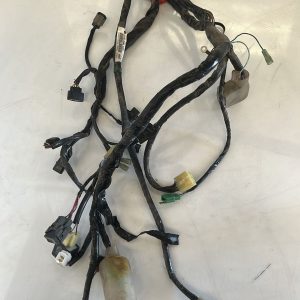 Cableado Honda PCX 125 2009-2012