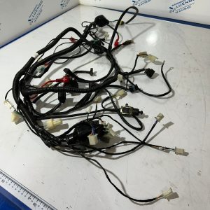 Cableado Wottan Storm 125 2021