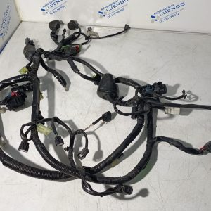 Cableado Kawasaki Ninja 125 2021