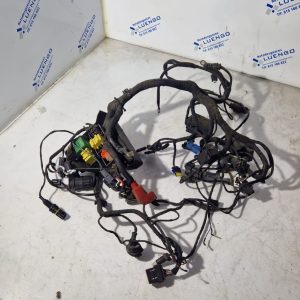 Cableado BMW G 650 GS 2016