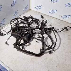 Cableado BMW F800R 2010-2013