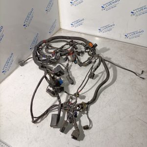 Cableado Triumph Tiger 800 2012