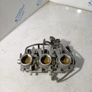 Cuerpo mariposas Triumph Tiger 800 2012