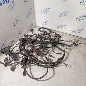 Cableado BMW F900 R 2021