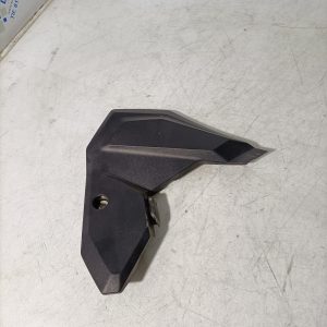 Tapa izquierda bajo asiento BMW F900 R 2021