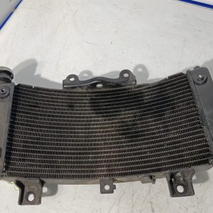 Radiador Husqvarna Svartpilen 125 2024